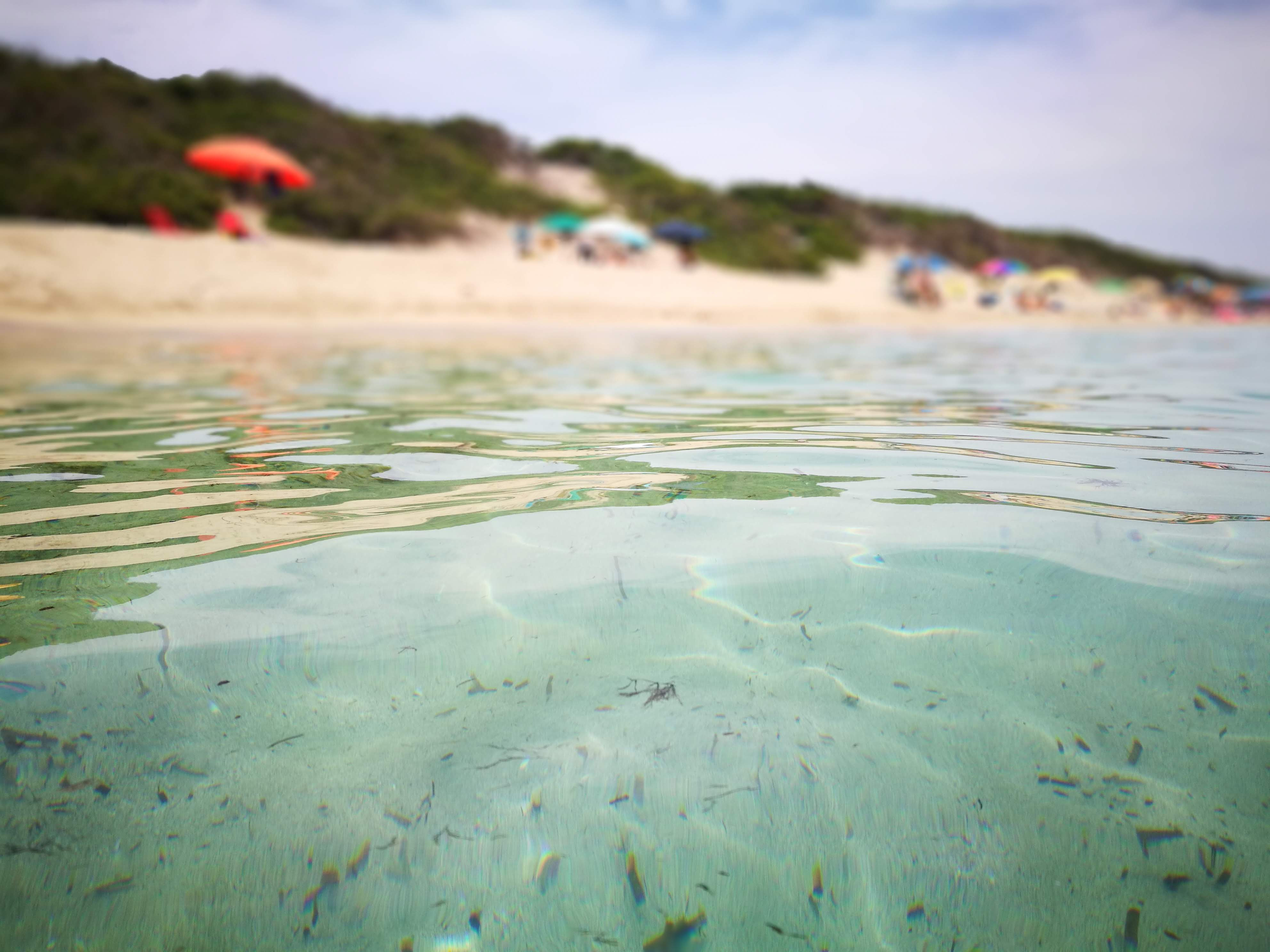 beaches of Salento