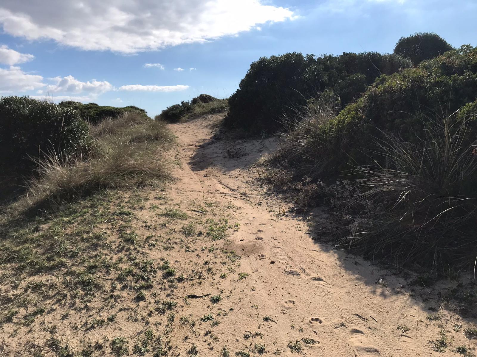 Salentissimo.it: scopri il Salento