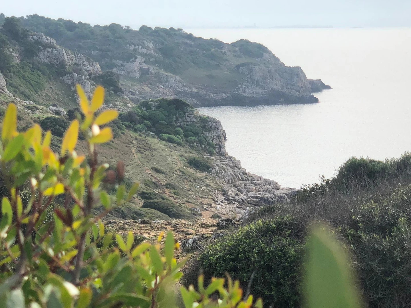 Salentissimo.it: Baia di Torre Uluzzo - Porto Selvaggio - Nardo, spiagge del Salento