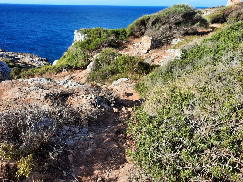 Salentissimo.it: Baia di Torre Uluzzo - Porto Selvaggio - Nardò, spiagge del Salento