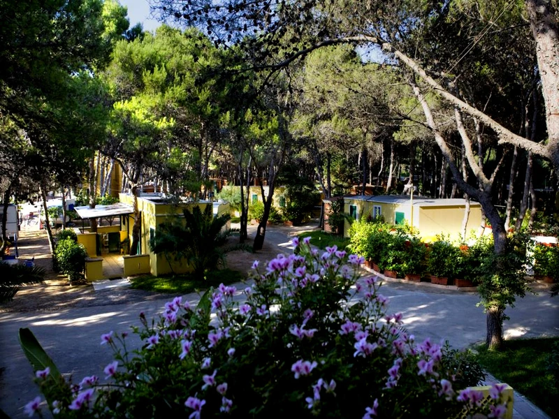 Salentissimo.it: Camping La Vecchia Torre - Rivabella - Gallipoli, spiagge del Salento