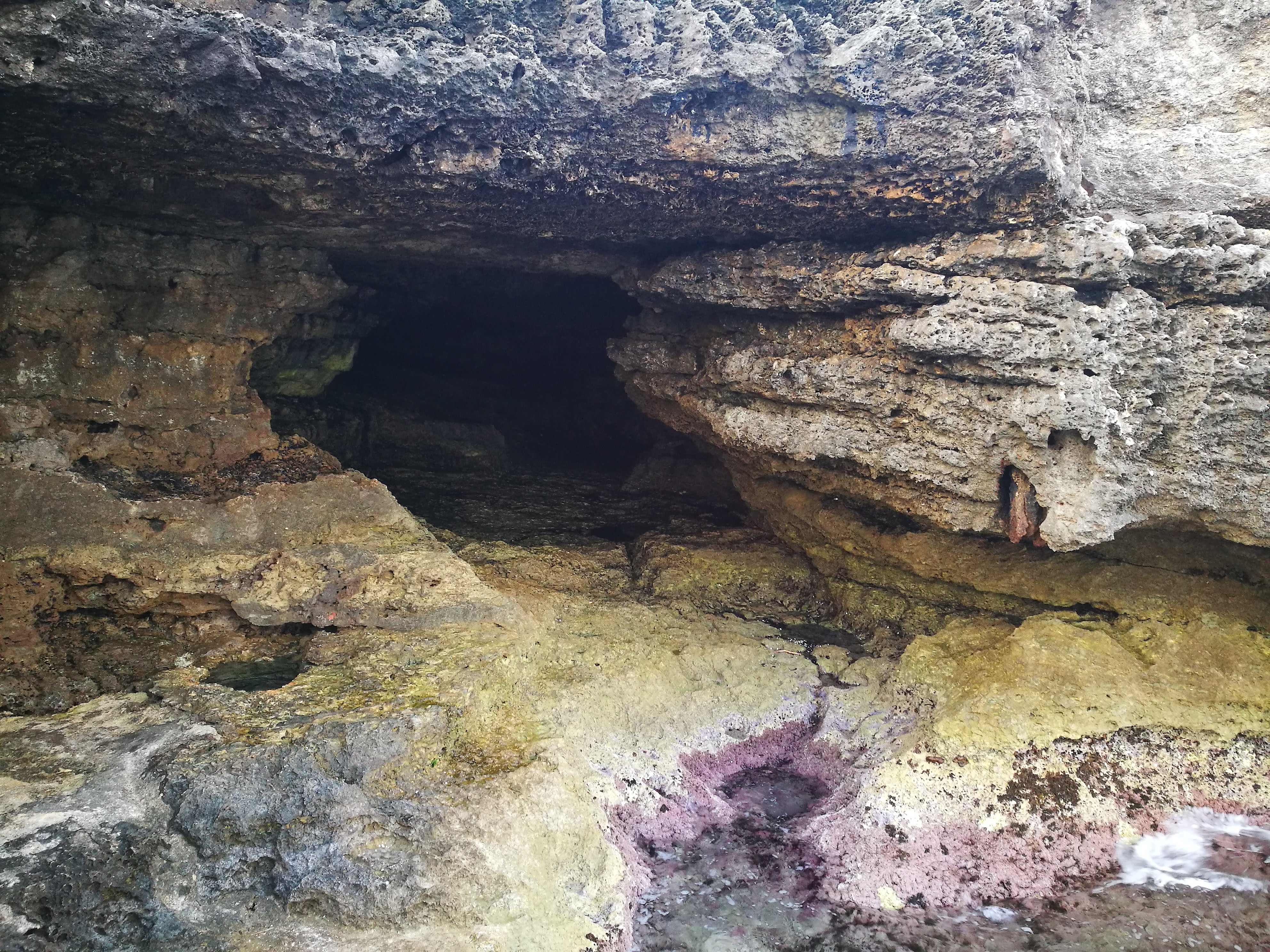 Salentissimo.it: Grotta Verde -  Marina di Andrano, Salenton rannat