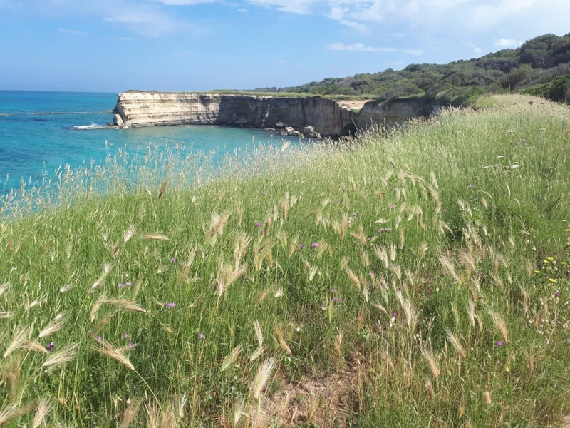 Salentissimo.it: I Faraglioni di Sant Andrea - Sant Andrea - Melendugno, spiagge del Salento