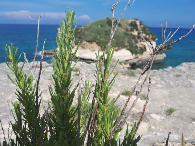 Salentissimo.it: I Faraglioni di Sant Andrea - Sant Andrea - Melendugno, spiagge del Salento