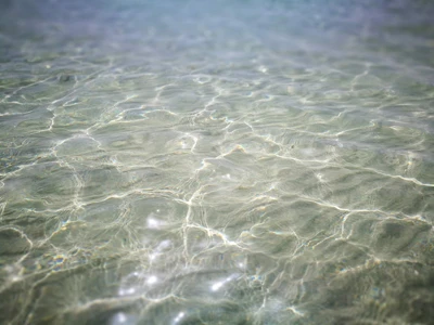 Salentissimo.it: Bassamarea Lido Club - Porto Cesareo, spiagge del Salento