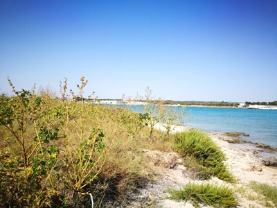 Salentissimo.it: Isola di Sant Isidoro - Sant Isidoro - Nardò, spiagge del Salento