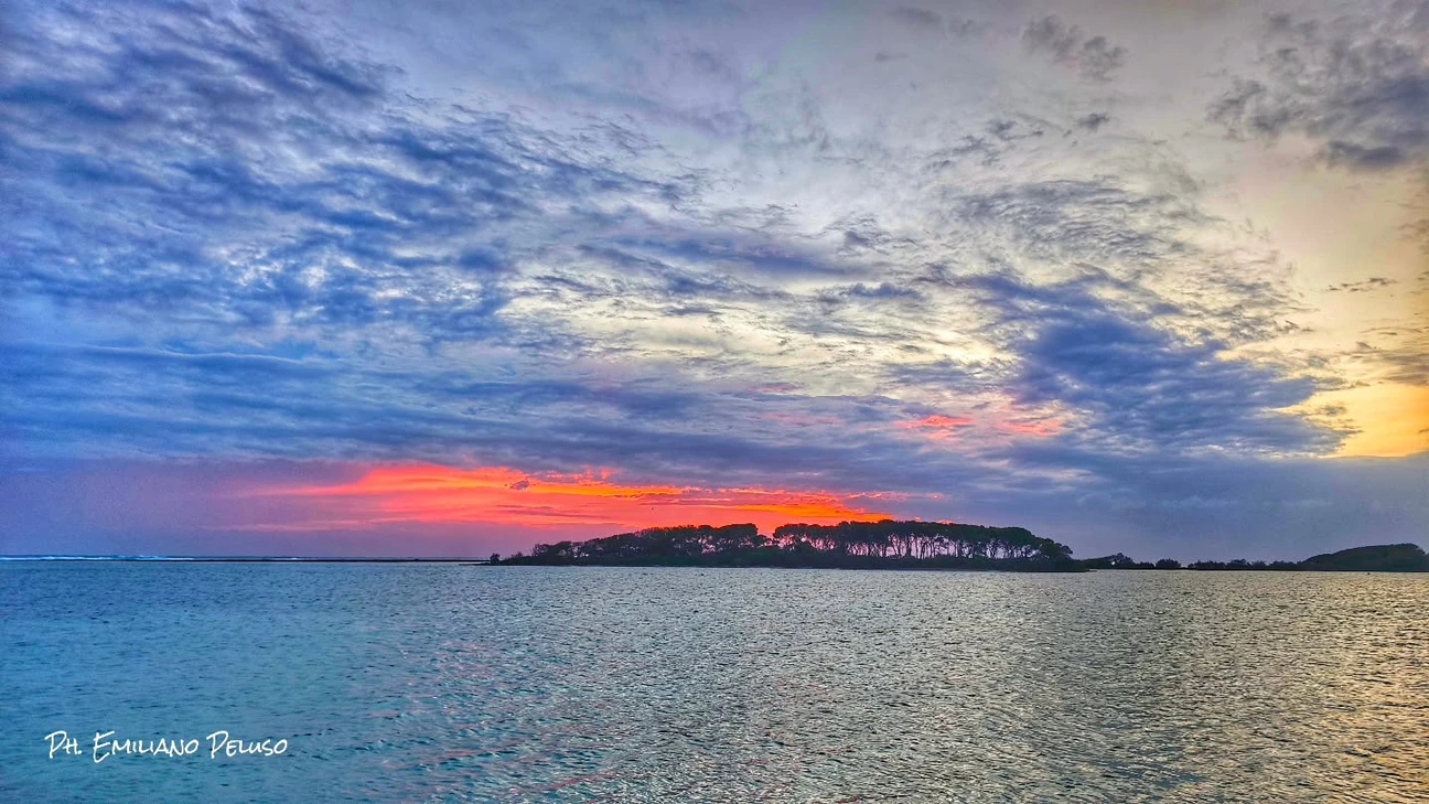 Salentissimo.it: Isola dei Conigli - Porto Cesareo, サレントのビーチ