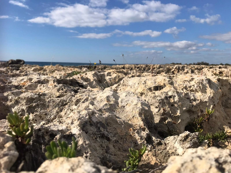Salentissimo.it: La Strea - Porto Cesareo, spiagge del Salento