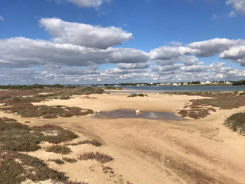 Salentissimo.it: La Strea - Porto Cesareo, spiagge del Salento