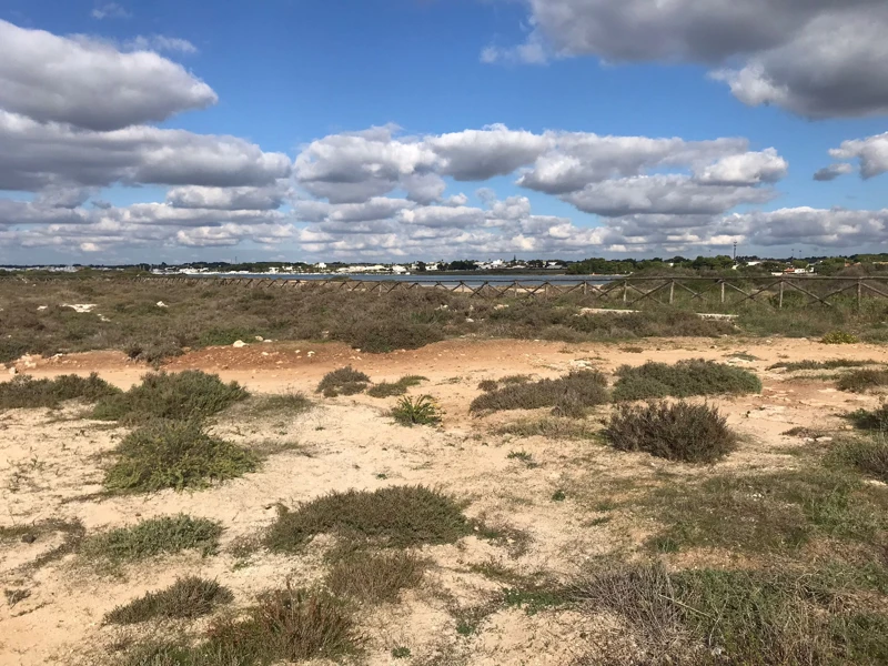 Salentissimo.it: La Strea - Porto Cesareo, spiagge del Salento