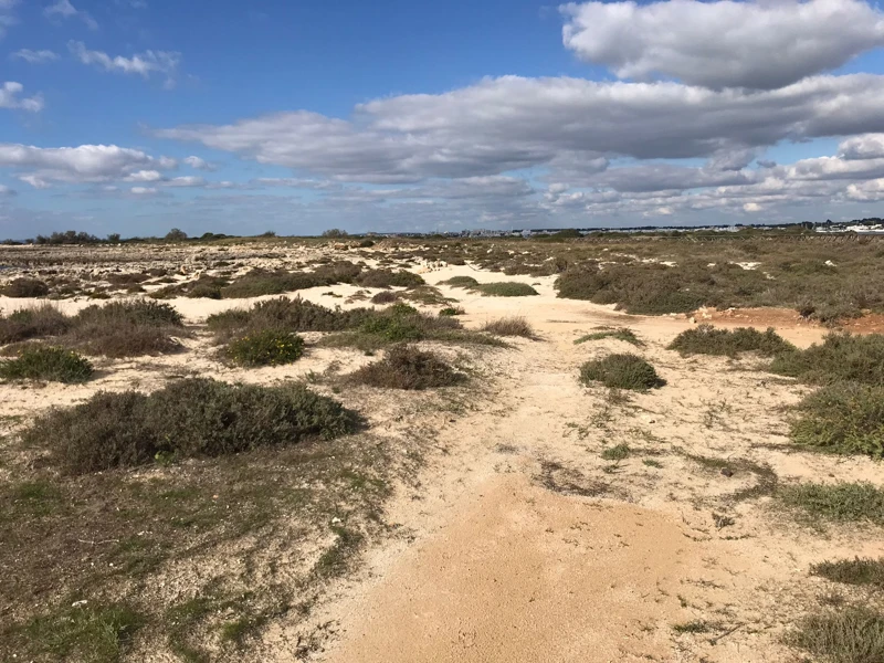 Salentissimo.it: La Strea - Porto Cesareo, spiagge del Salento