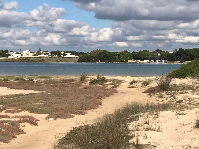 Salentissimo.it: La Strea - Porto Cesareo, spiagge del Salento