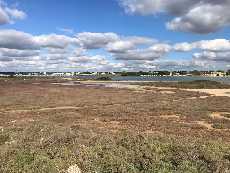 Salentissimo.it: La Strea - Porto Cesareo, spiagge del Salento