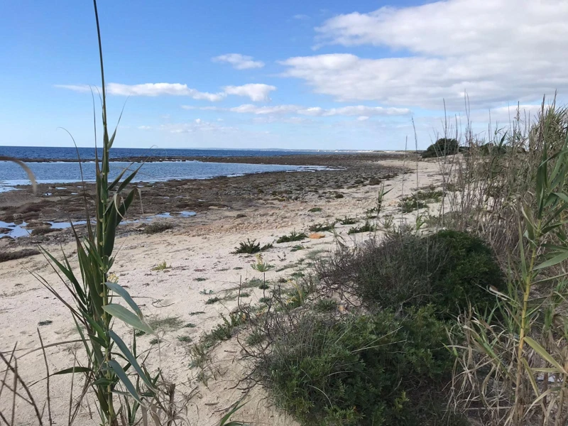 Salentissimo.it: La Strea - Porto Cesareo, spiagge del Salento