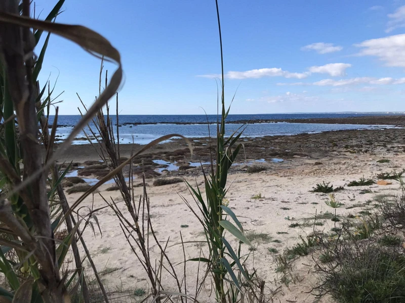 Salentissimo.it: La Strea - Porto Cesareo, spiagge del Salento