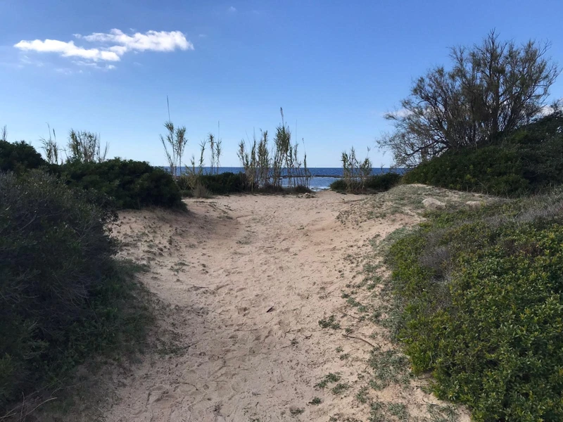 Salentissimo.it: La Strea - Porto Cesareo, spiagge del Salento