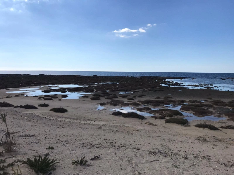 Salentissimo.it: La Strea - Porto Cesareo, spiagge del Salento