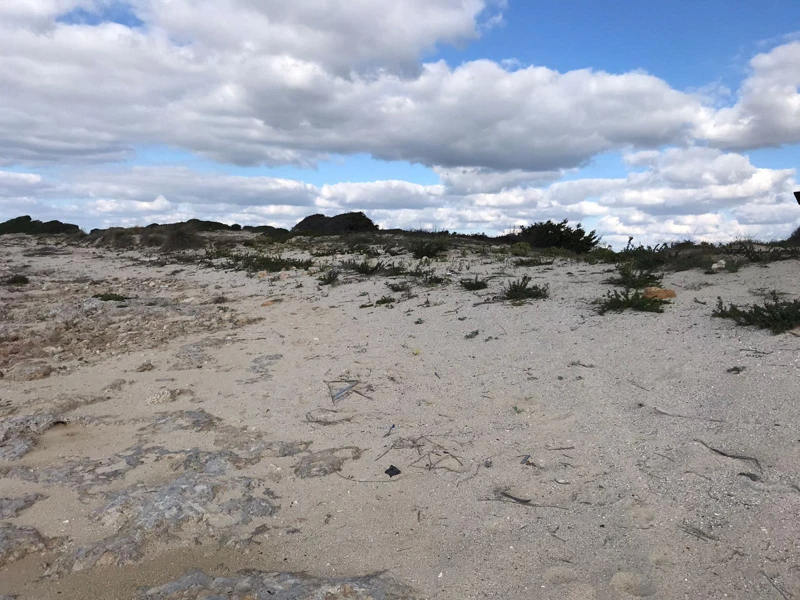 Salentissimo.it: La Strea - Porto Cesareo, spiagge del Salento