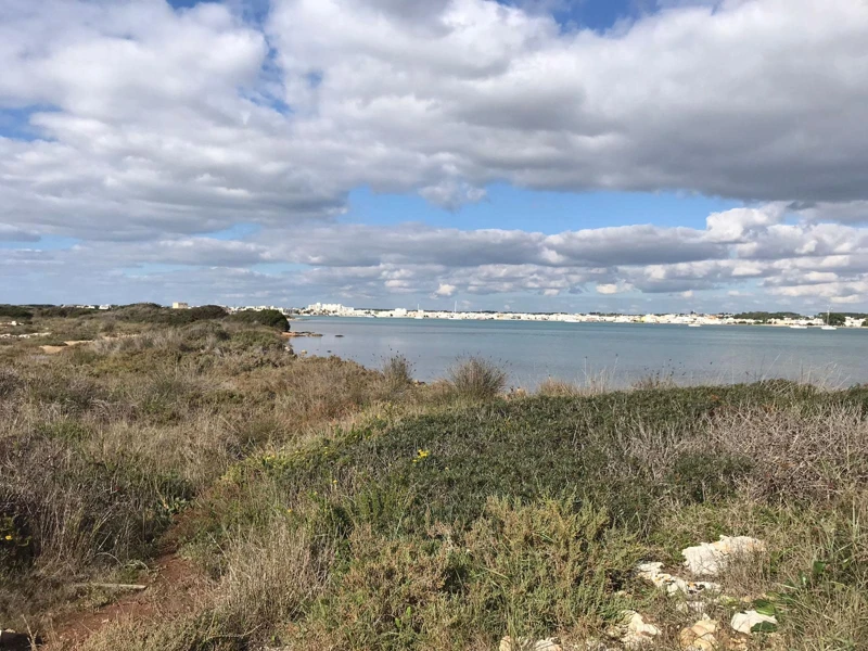Salentissimo.it: La Strea - Porto Cesareo, spiagge del Salento