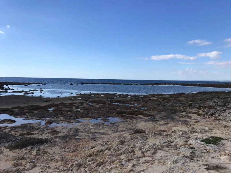 Salentissimo.it: La Strea - Porto Cesareo, spiagge del Salento