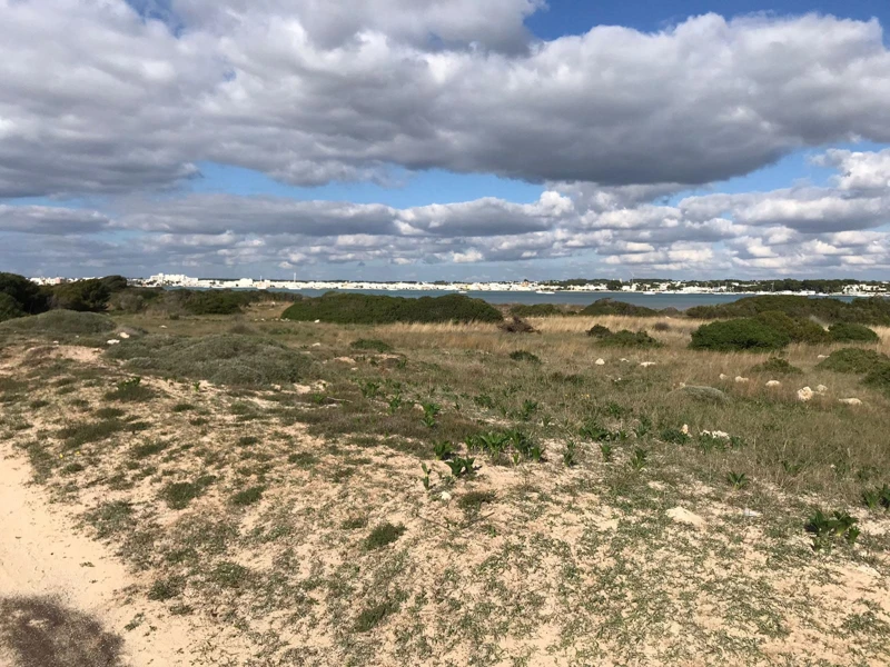 Salentissimo.it: La Strea - Porto Cesareo, spiagge del Salento