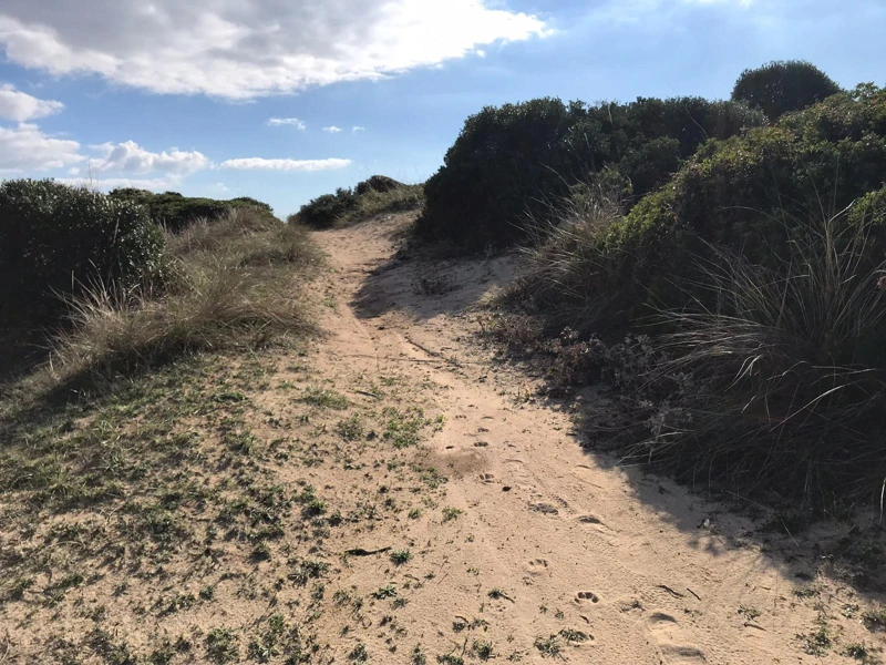 Salentissimo.it: La Strea - Porto Cesareo, spiagge del Salento