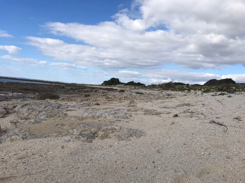 Salentissimo.it: La Strea - Porto Cesareo, spiagge del Salento