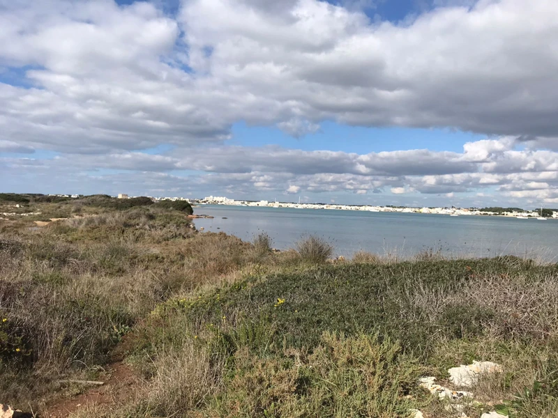 Salentissimo.it: La Strea - Porto Cesareo, spiagge del Salento