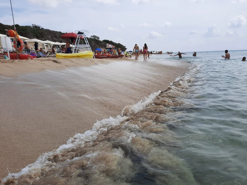 Salentissimo.it: Lido Teranga Bay - Punta Prosciutto - Porto Cesareo, spiagge del Salento