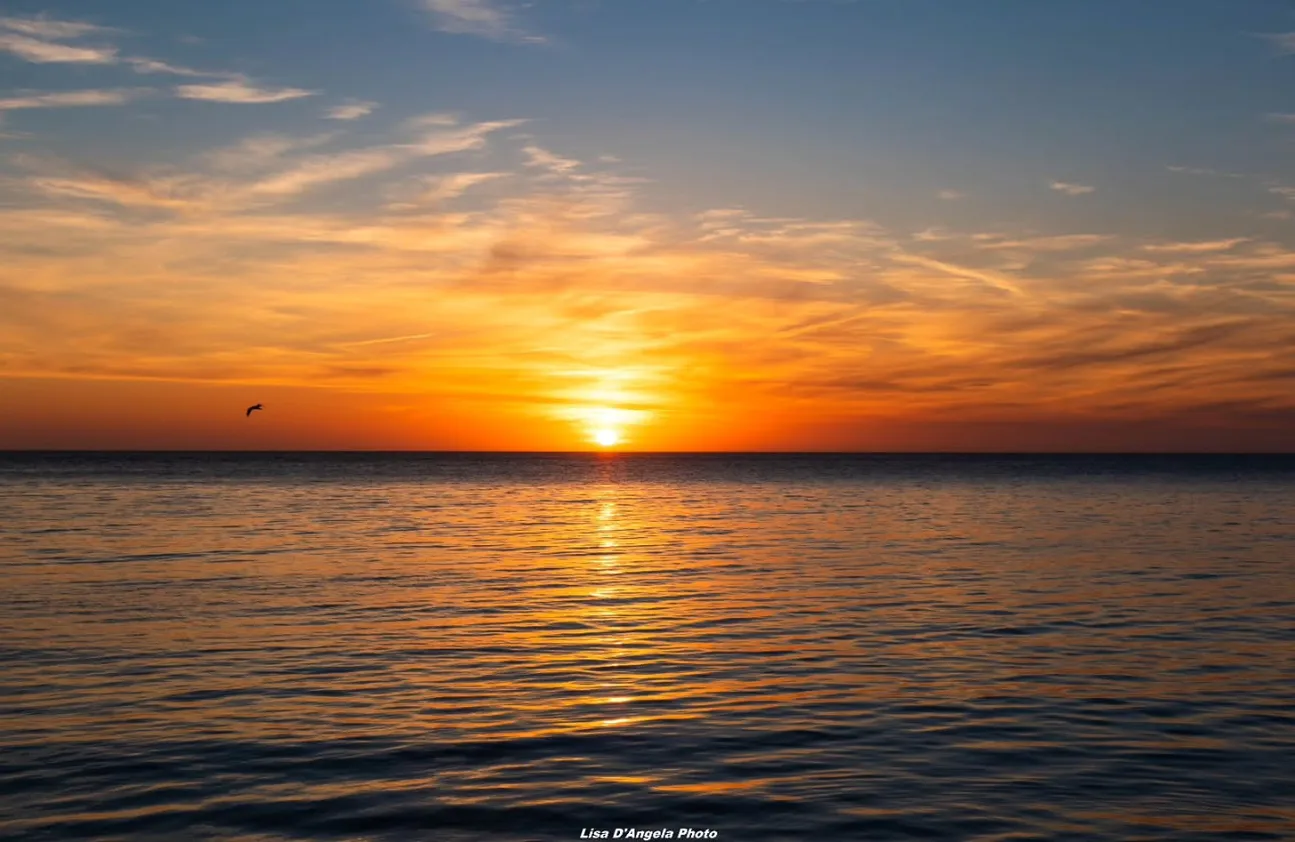 Salentissimo.it: Lungomare Gallipoli - Gallipoli, spiagge del Salento