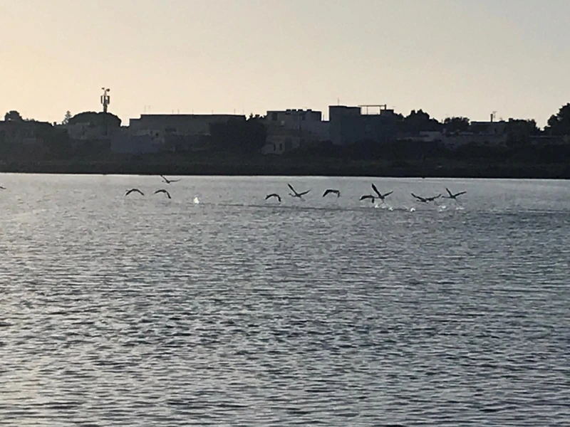 Salentissimo.it: Riserva Naturale Salina dei Monaci - Torre Colimena - Manduria, spiagge del Salento