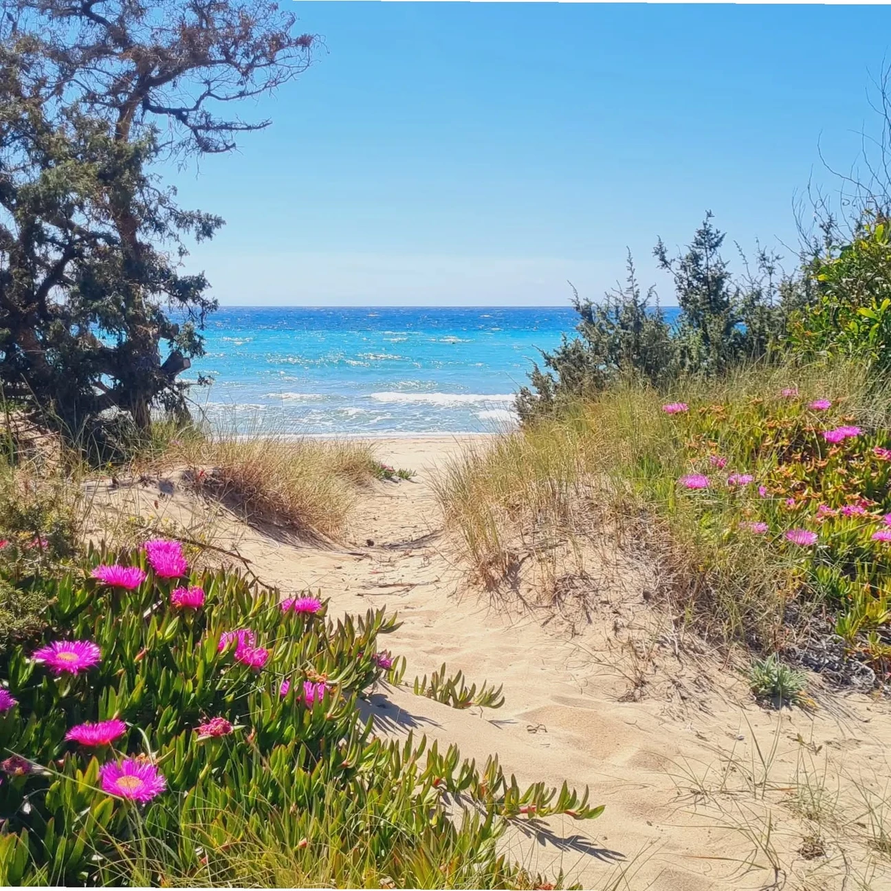 Salentissimo.it: Spiaggia Padula Bianca - Lido Conchiglie - Sannicola, spiagge del Salento