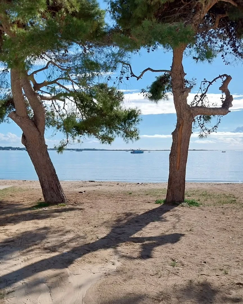 Salentissimo.it: Spiaggia di Porto Cesareo - Porto Cesareo, spiagge del Salento