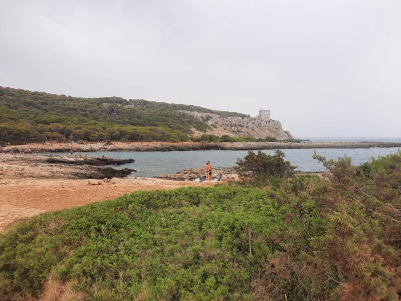 Salentissimo.it: Spiaggia di Porto Selvaggio - Porto Selvaggio - Nardò, spiagge del Salento