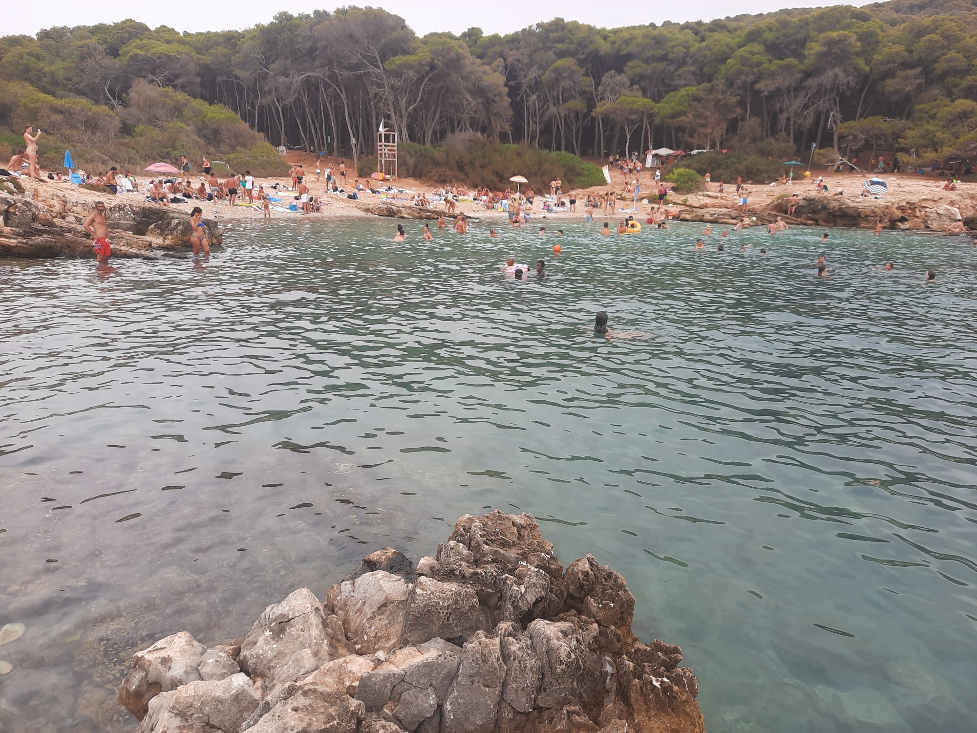 Salentissimo.it: Spiaggia di Porto Selvaggio -  Porto Selvaggio - Nardò, spiagge del Salento