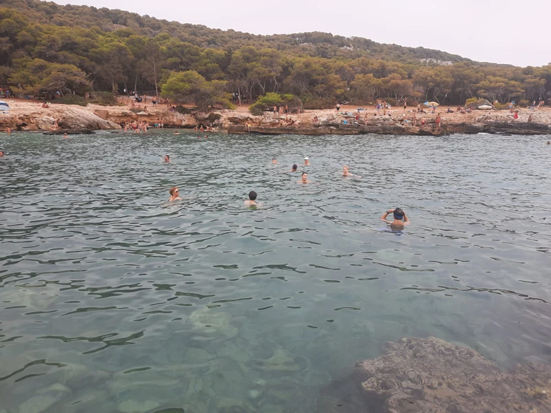 Salentissimo.it: Spiaggia di Porto Selvaggio - Porto Selvaggio - Nardò, spiagge del Salento