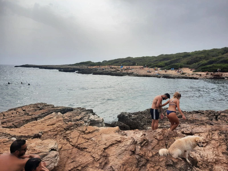 Salentissimo.it: Spiaggia di Porto Selvaggio - Porto Selvaggio - Nardò, spiagge del Salento