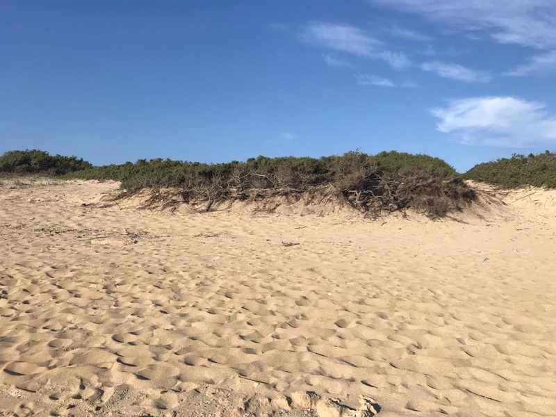 Salentissimo.it: Spiaggia di Punta Cacata - Torre Colimena - Manduria, spiagge del Salento