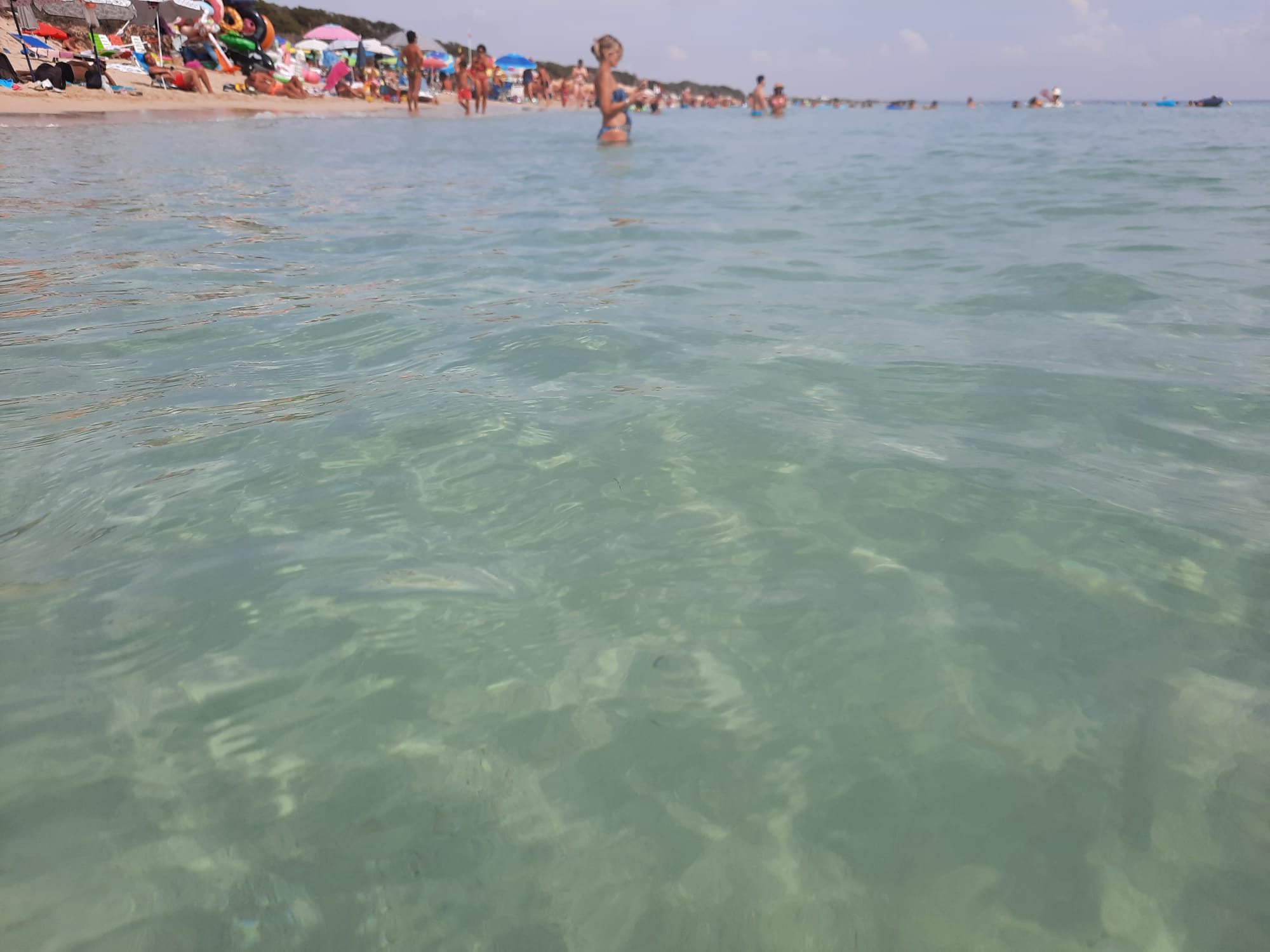 Salentissimo.it: plage libre Punta Prosciutto, plages de Salento
