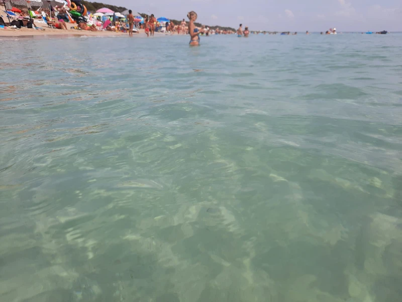 Salentissimo.it: Spiaggia di Punta Prosciutto - Punta Prosciutto - Porto Cesareo, spiagge del Salento