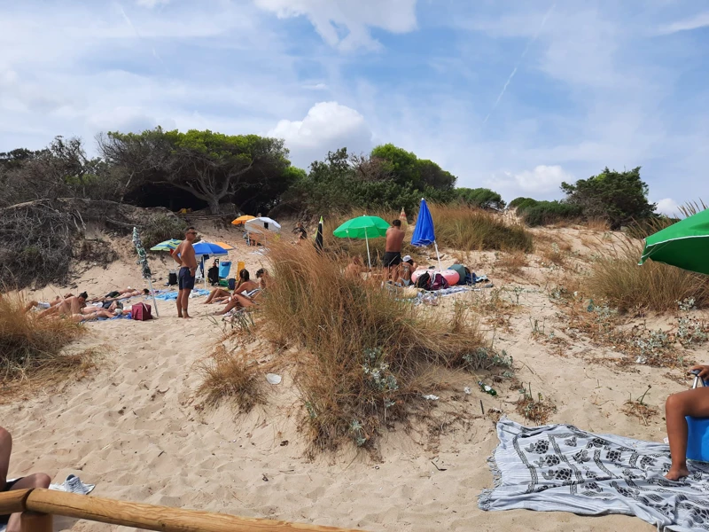 Salentissimo.it: Spiaggia di Punta Prosciutto - Punta Prosciutto - Porto Cesareo, spiagge del Salento