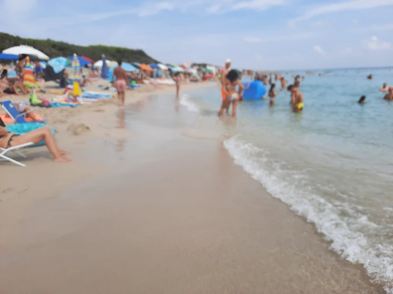 Salentissimo.it: Spiaggia di Punta Prosciutto - Punta Prosciutto - Porto Cesareo, spiagge del Salento
