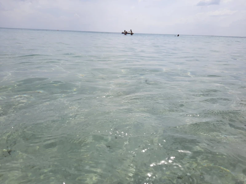 Salentissimo.it: Spiaggia di Punta Prosciutto - Punta Prosciutto - Porto Cesareo, spiagge del Salento