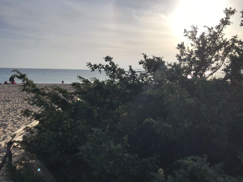 Salentissimo.it: Spiaggia libera delle Dune - Porto Cesareo, spiagge del Salento