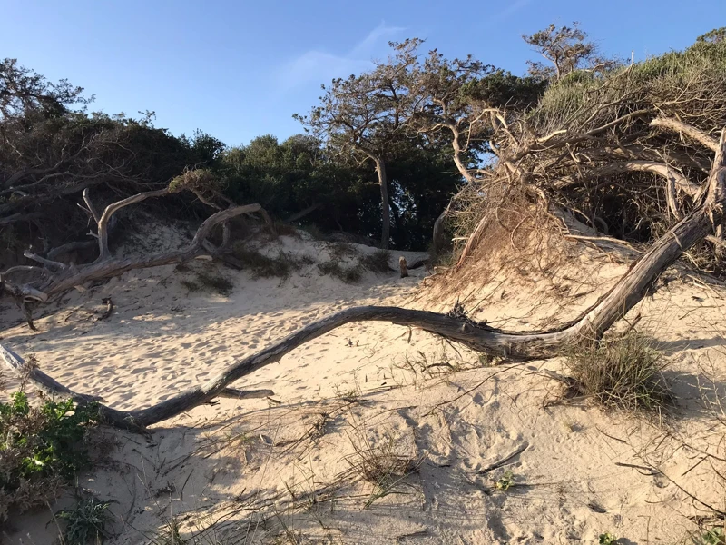 Salentissimo.it: Spiaggia libera delle Dune - Porto Cesareo, spiagge del Salento