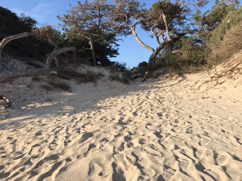 Salentissimo.it: Spiaggia libera delle Dune - Porto Cesareo, spiagge del Salento
