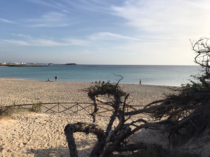Salentissimo.it: Spiaggia libera delle Dune - Porto Cesareo, spiagge del Salento