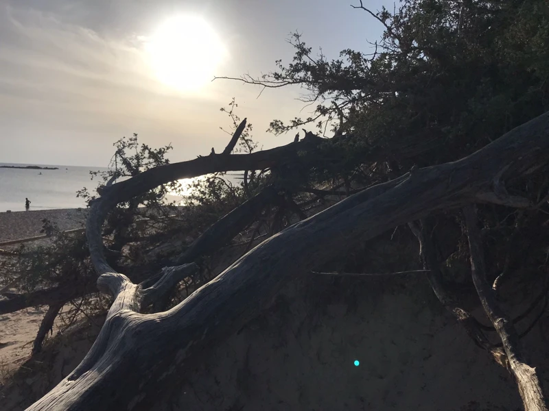 Salentissimo.it: Spiaggia libera delle Dune - Porto Cesareo, spiagge del Salento