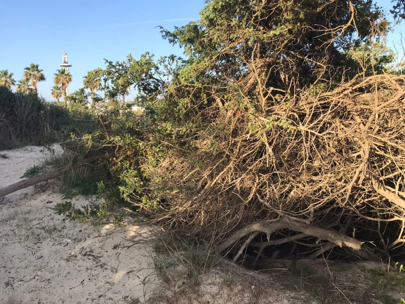 Salentissimo.it: Spiaggia libera delle Dune - Porto Cesareo, spiagge del Salento