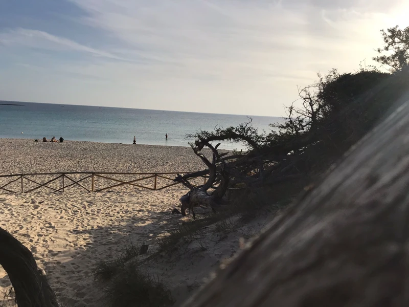 Salentissimo.it: Spiaggia libera delle Dune - Porto Cesareo, spiagge del Salento